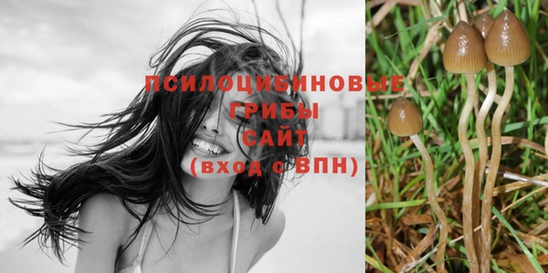 соль курить ск Аркадак