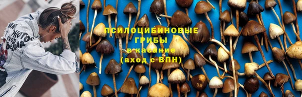 соль курить ск Аркадак